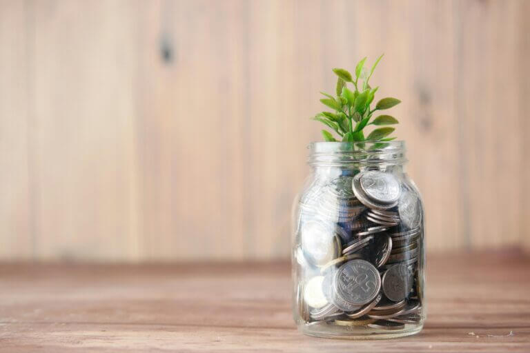 Seedling growing out of a glass full of coins